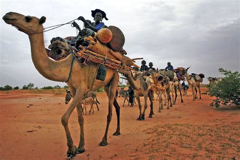 Tuareg People