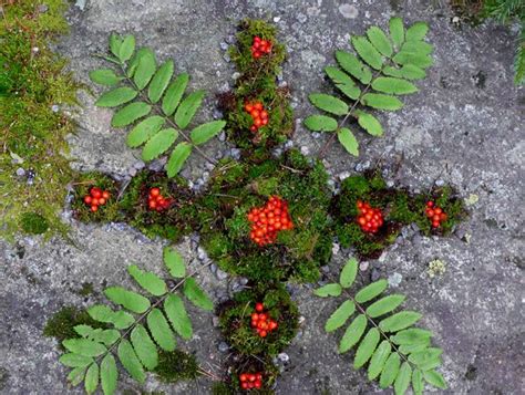 Tesoman koulu - valinnaisaineet Tampere, Plants, Plant, Planets
