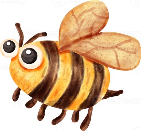 Watercolor Bee Clip Art Png