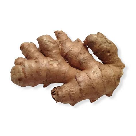 Ginger Zingiber Officinale Extract Powder At 2252 Kg Ginger Root