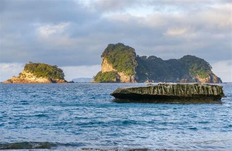 Premium Photo Cathedral Cove In New Zealand