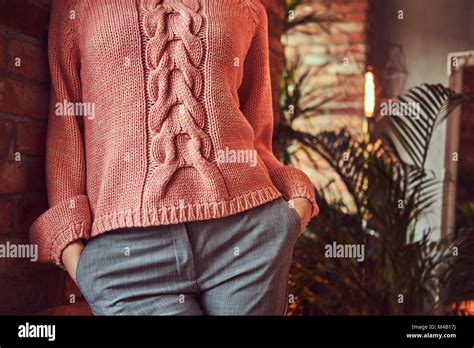 A Beautiful Charming Brunette In A Room With Loft Interior Stock Photo