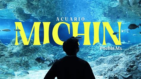 Conoce El ACUARIO MICHIN De PUEBLA YouTube