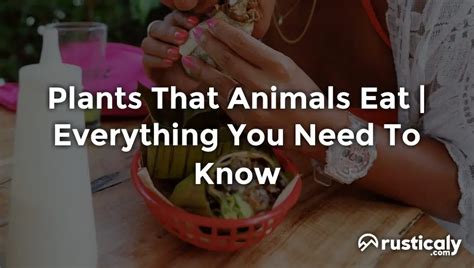 Plants That Animals Eat ~ Fully Explained Inside!