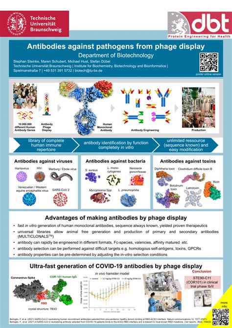 Pdf Poster Antibody Phage Display Ste