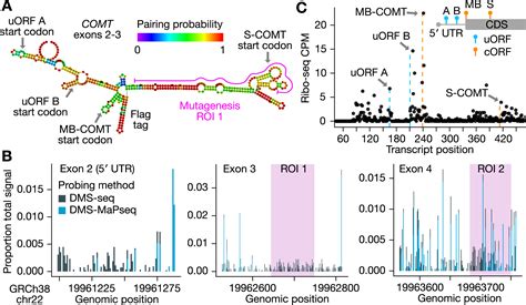 Integrated Multiplexed Assays Of Variant Effect Reveal Determinants Of