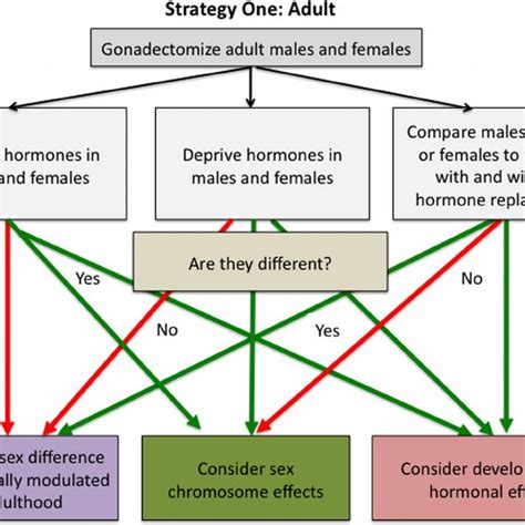 Strategy For Discerning The Basis Of A Sex Difference Starting With Download Scientific Diagram