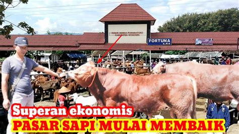 UPDATE TERBARU HARGA SAPI HARI INI PASAR PURWANTORO WONOGIRI 8 3 2023