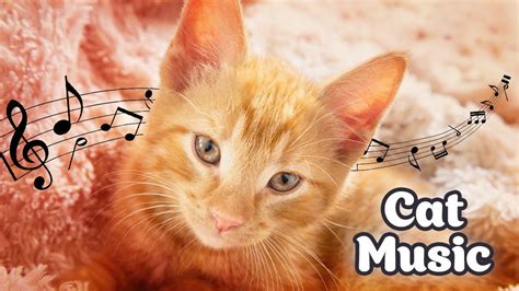 Healing Music For Cats Calming Kitten Sleep Tunes YouTube