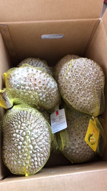 Wholesale Malaysia Premium Whole Frozen Musang King Durian D