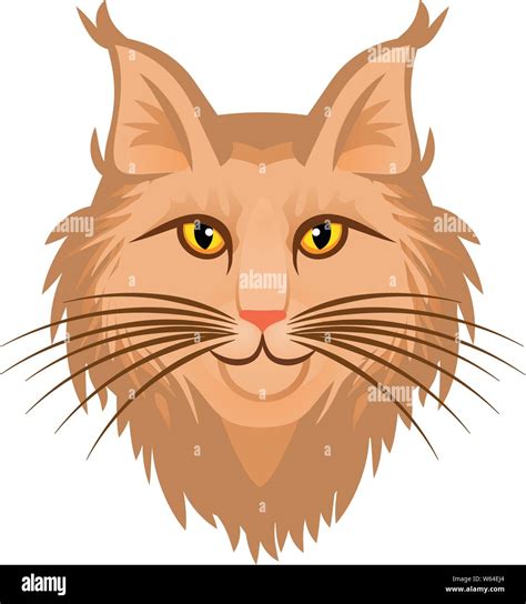 Cute Head Maine Coon Icon Cartoon Of Cute Head Maine Coon Vector Icon