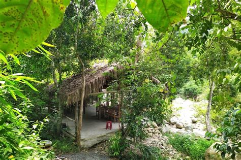 Trải nghiệm Kong Forest