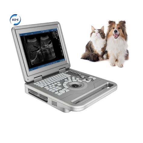 Rayman Medical Bw Inch Portable Laptop Veterinary Ultrasound Machine