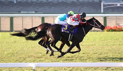 【天皇賞・秋】出走馬の調教後の馬体重 ライブドアニュース