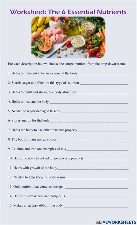 6 Essential Nutrients Worksheet