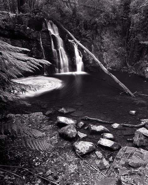 ""Upper Lilydale Falls" ∞ Lilydale, Tasmania - Australia" by Jason ...