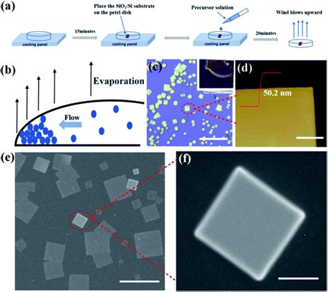 Facile Synthesis Of A Dual Phase CsPbBr 3 CsPb 2 Br 5 Single Crystal