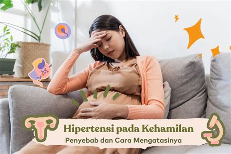 Penyebab Hipertensi Dalam Kehamilan Dan Cara Penanganannya Alodokter