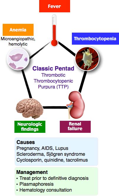 Rosh Review Pediatric Medicine Hematology Medical Knowledge