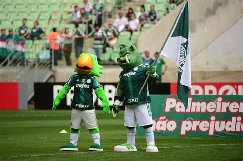 Por Que O Mascote Do Palmeiras É Um Porco - Mascotes do Palmeiras, porco Gobatto e Periquito, esperam sinal verde ...