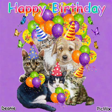 Party Animals Happy Birthday Pictures Photos And Images For