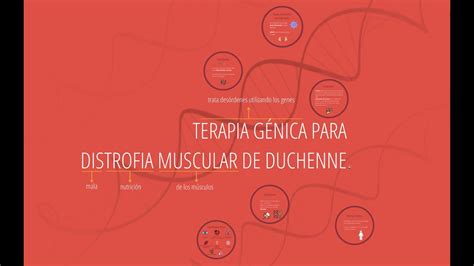 Terapia G Nica Para La Distrofia Muscular De Duchenne Youtube