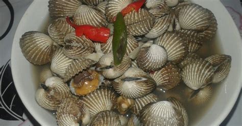 Resep Kerang Rebus Oleh Yasriana Ratih Cookpad