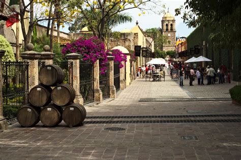 The Top 10 Things To See And Do In Tequila Mexico