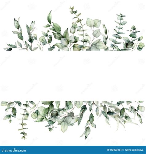 Watercolor Floral Border Of Eucalyptus Branches Seeds And Leaves Hand