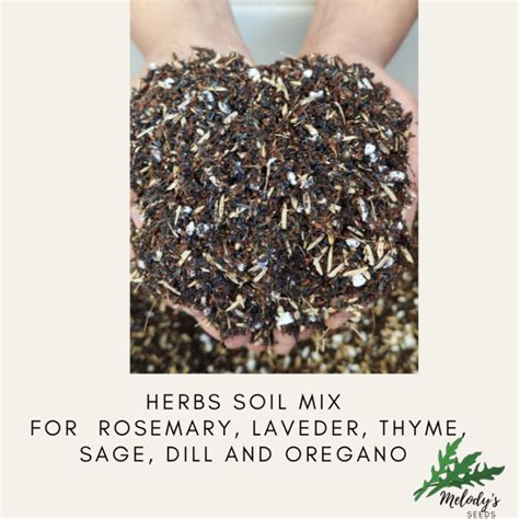 Herbs Herb Potting Mix For Rosemary Coriander Lavender Thyme Sage