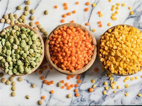 How To Harvest Lentils From The Garden