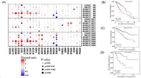 Global Prognostic Values Of Iaps For Patient Survival Iaps Differed In