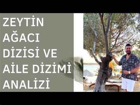 Zeytin Ağacı dizisindeki Aile Dizimi Nedir YouTube