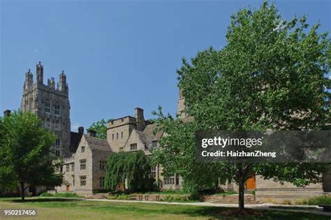 Yale University Colors Photos and Premium High Res Pictures - Getty Images