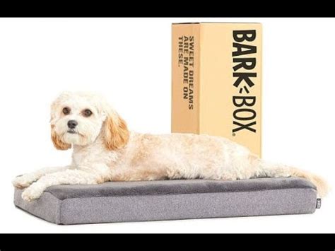 Ортопедический матрас для собаки "BARK" - YouTube