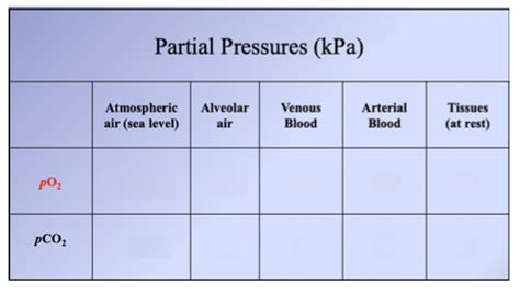 Partial Pressures Diagram Quizlet