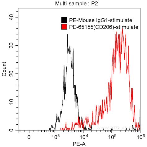 CD206 antibody (PE-65155) | Proteintech