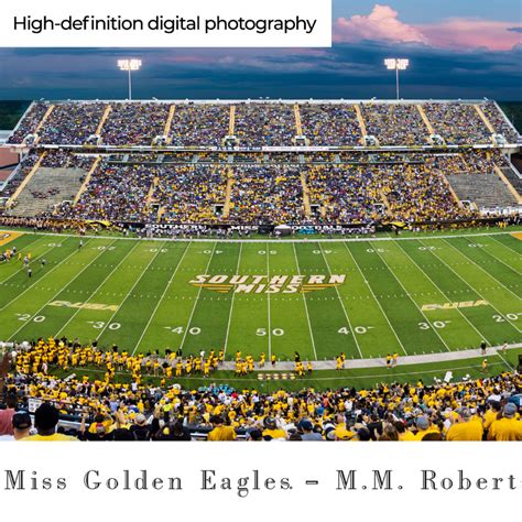 Southern Miss Golden Eagles Football Panoramic Poster - M.M. Roberts ...