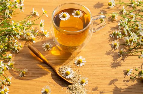 Chamomile Lavender Tea Benefits And Side Effects Chinese Teas 101