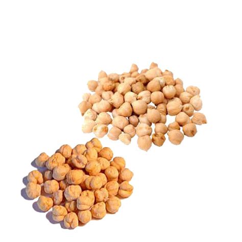 Chick Peas Nutrition Guide And Its Healthy Benefits Veggies Info