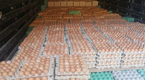 Detienen Cami N Cargado Con Mil Huevos Ilegales De Gallina Radio