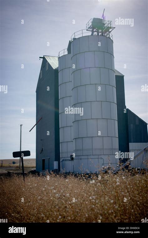 Grain Storage Building And Two Industrial Silos Stock Photo Alamy