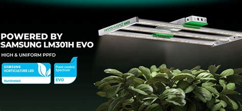 Mars Hydro Led Light Black Friday Sale Illuminate Your Grow Space