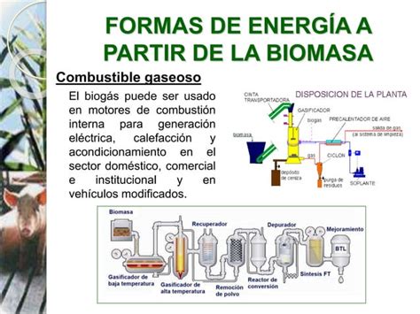 Energia De La Biomasa En Venezuela Ppt Descarga Gratuita