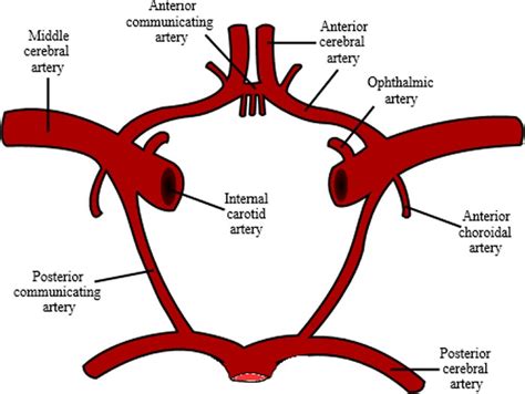 Posterior communicating artery