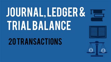 20 Transactions With Their Journal Entries Ledger And Trial Balance To Prepare Project Class 11