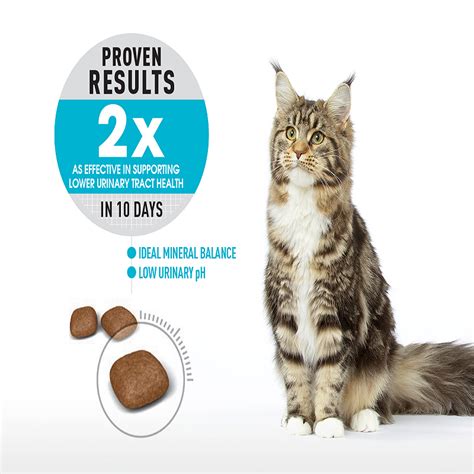 Repack Royal Canin Urinary Care Kg Repacked Cat Dry Food Urinary S O