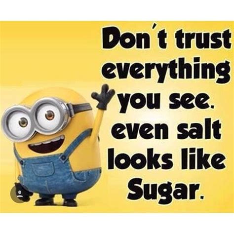 Don T Trust Everything You See Even Salt Looks Like Sugar Minions