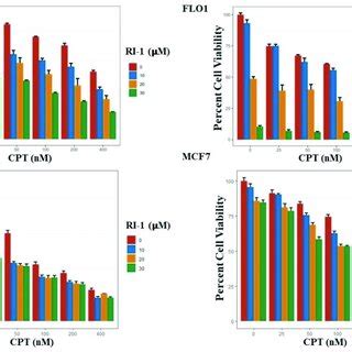 Rad Inhibitor Potentiates Cytotoxicity Of Camptothecin In Cancer Cell