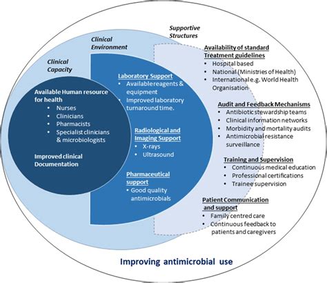 Using Treatment Guidelines To Improve Antibiotic Use Insights From An